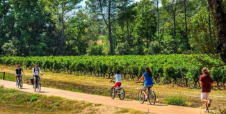 La Vigne à vélo en Dracénie : les spots incontournables en famille !