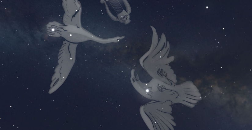 "Étoiles filantes et ciel d'été", animation astronomie avec le Conservatoire du Patrimoine du Freinet